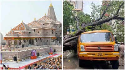 Ram Janmabhoomi Trust: Evening news wrap: Ayodhya Ram Temple trust to meet early amid leadership reshuffle; 11-year-old dies as tree crushes school van carrying 15 students & more | India News