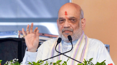 Shah directs Nafed, NCCF to eliminate middlemen, buy pulses and oilseeds directly from farmers | India News