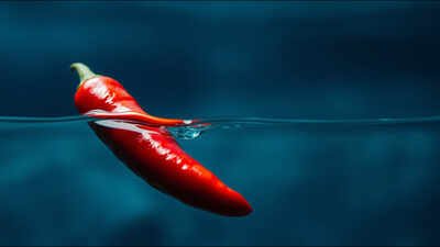 Burmese proverb of the day: “A real chilli, seven fathoms under water, will still taste hot” reminds us how true character shines through all situations