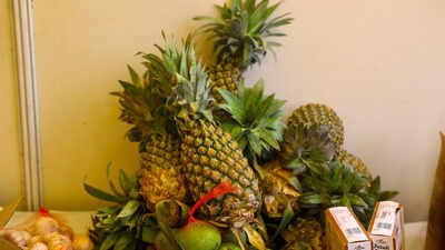 First Tripura Global Pineapple Festival 2026 celebrated in Delhi | Events Movie News