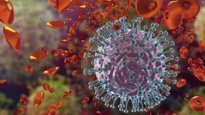 Flu kills 1.2 lakh/year in India, senior citizens bear the brunt | India News