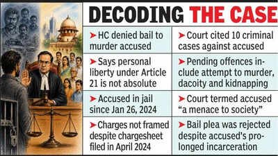 HC: Personal Liberty Under Article 21 Not Absolute, Can’t Outweigh Public Safety | India News