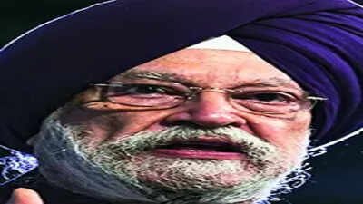 Iran oil minister in Delhi amid 60-day US sanctions waiver | India News