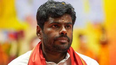 ‘Increase in crimes involving North Indians’: K Annamalai demands stricter checks on migrants | India News
