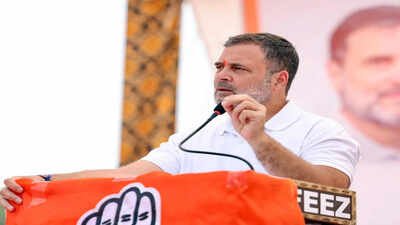 Despite rift, Rahul Gandhi says DMK with oppn on ‘idea of India’ | India News
