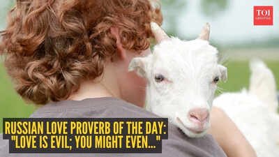 Russian love proverb of the day: “Love is evil; you might even…” |
