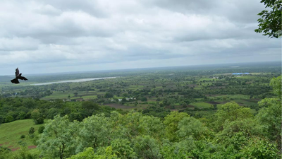 Telangana takes lead in India’s land restoration efforts, country on track to achieve its 2030 global commitment | India News