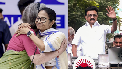India Bloc: The INDIA bloc divide: Why Mamata is all in but Stalin is walking her ‘ekla chalo’ path | India News