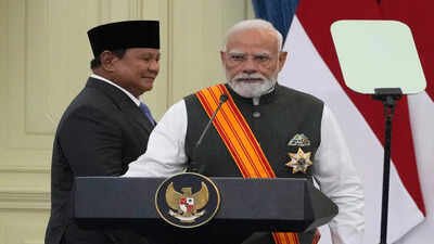 PM seeks UNSC reforms, inclusive development in Indonesia Parliament address | India News