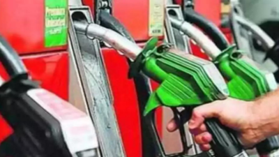 Ethanol blending saved consumers Rs 30/litre during crude spike: Govt | India News