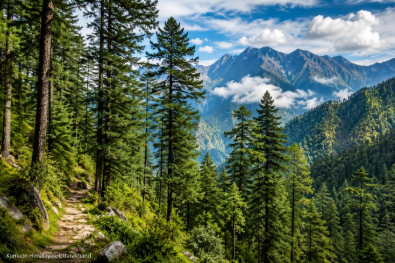Why India’s festival of trees matters more than ever