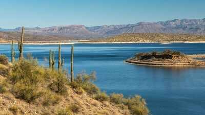 Arizona man arrested after allegedly living in national forest for 8 years amid 1,000 pounds of garbage