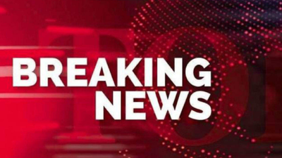 Boat carrying several Indian tourists capsizes in Vietnam; rescue ops under way | India News