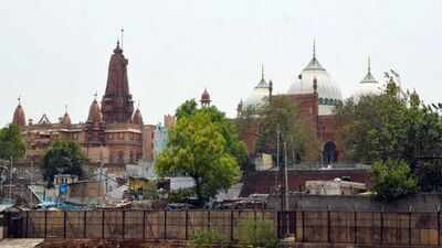 Shri Krishna Janmabhoomi-Shahi Idgah dispute: Hindu side attends Lok Adalat, proposes relocation of mosque | India News