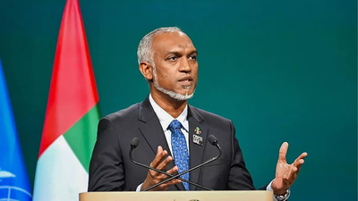 As Maldives president seeks SAARC summit, India says cooperation requires goodwill | India News