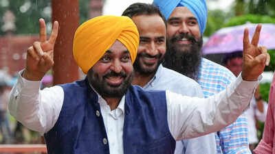 Punjab opens applications for second batch of anti-drug mental health fellowship | India News