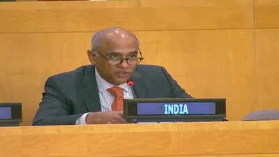 ‘Deeply concerning’: In UNSC, India strongly condemns attacks on commercial ships near Hormuz | India News
