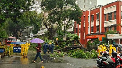 Monsoon mayhem: South Bombay sees wettest July day in 50 years; house collapse, tree falls claim 8 lives | Mumbai News