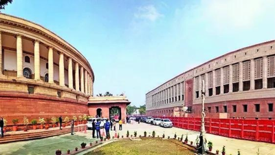 Stakeholders: PM, CMs removal clause ‘unconstitutional’ | India News