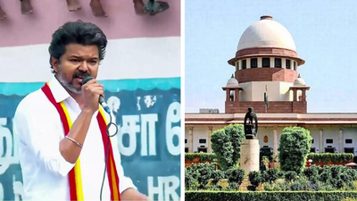 ‘HC went beyond … ‘: Vijay-led Tamil Nadu government moves SC against order banning cow slaughter even on Bakrid | India News