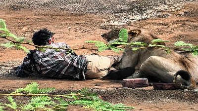 Why Gujarat villages are turning against the pride | India News